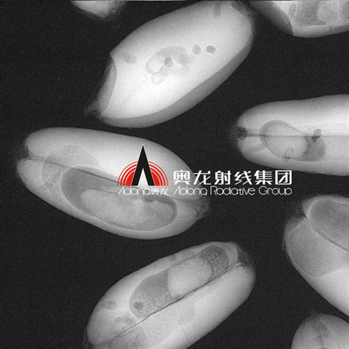 被蟲(chóng)蛀的小麥種子.jpg 被蟲(chóng)蛀的小麥種子.jpg