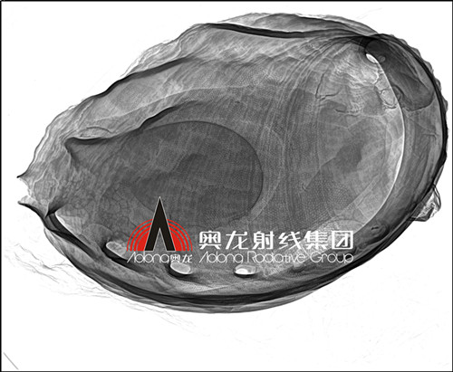 鮑魚(yú).jpg 鮑魚(yú).jpg